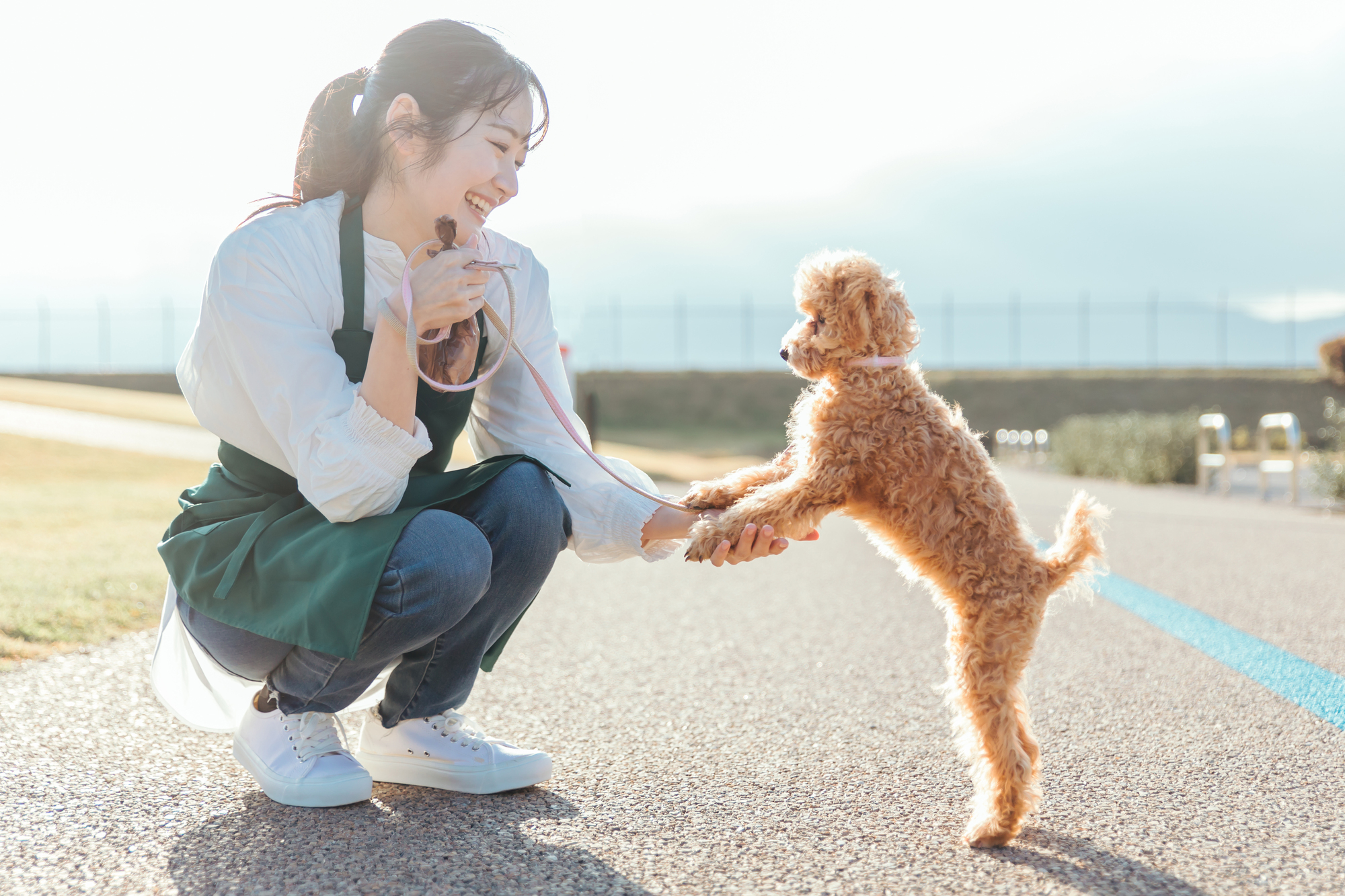 愛犬が病気かも？というときに見るべきポイント